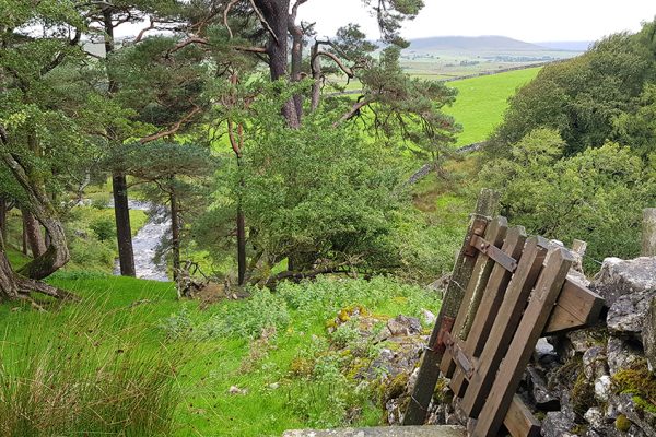 horton-in-ribblesdale
